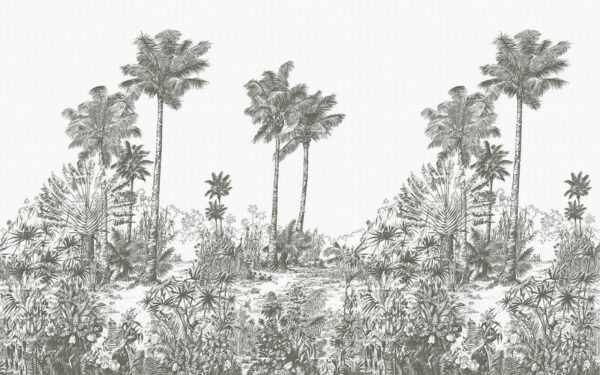 Drawing of palm trees Drawing of palm trees