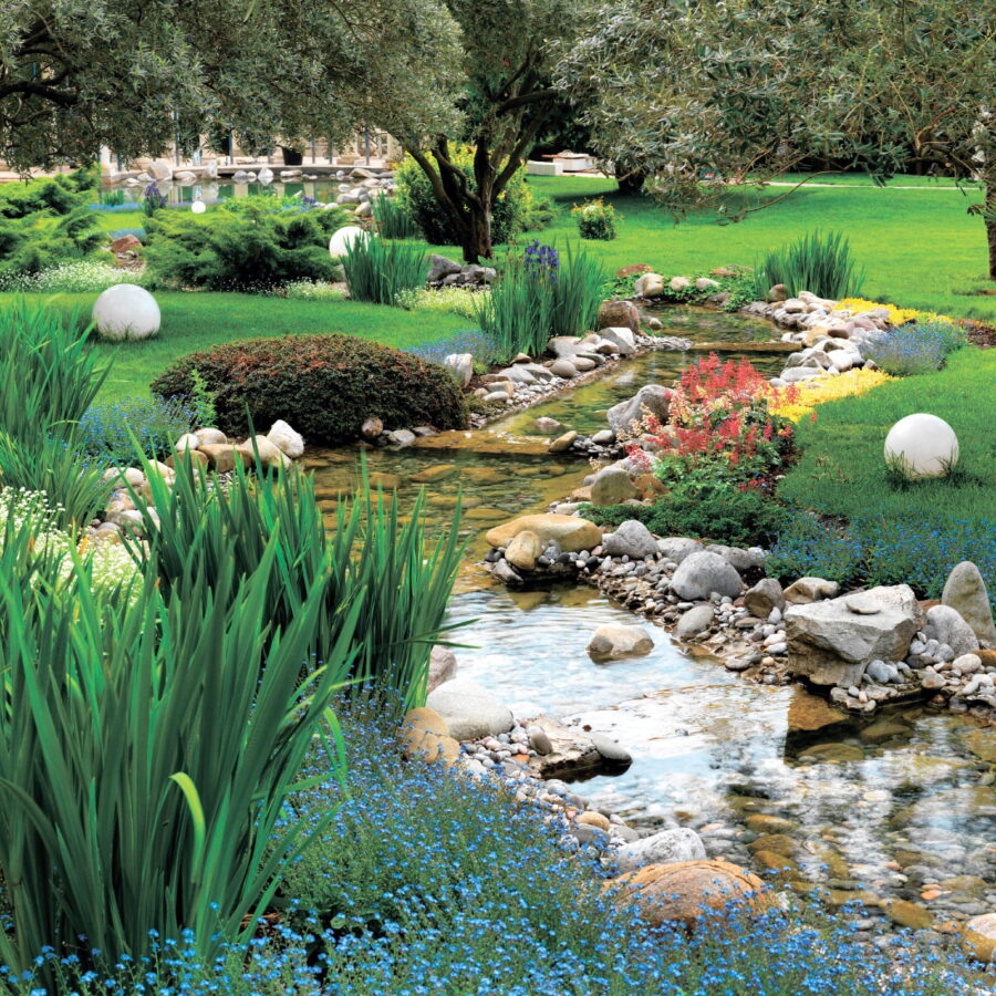 A stream running through a park