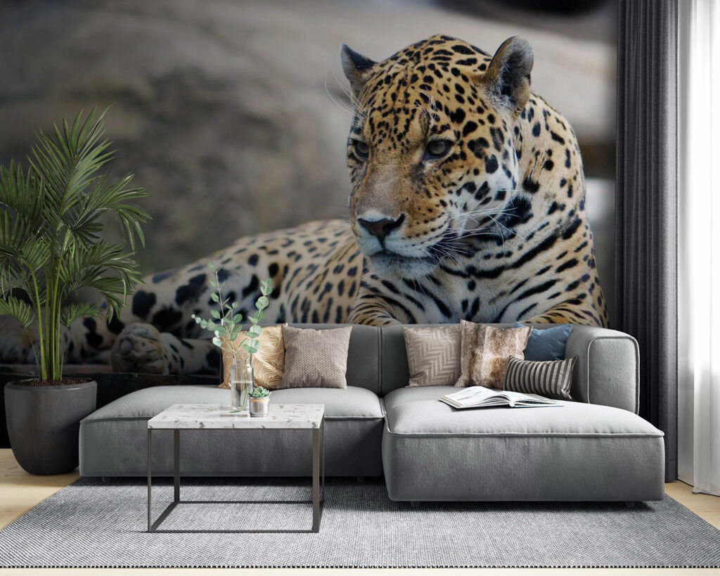 u55313pig53 1024x819 - Leopard lying on a wood surface - tegory