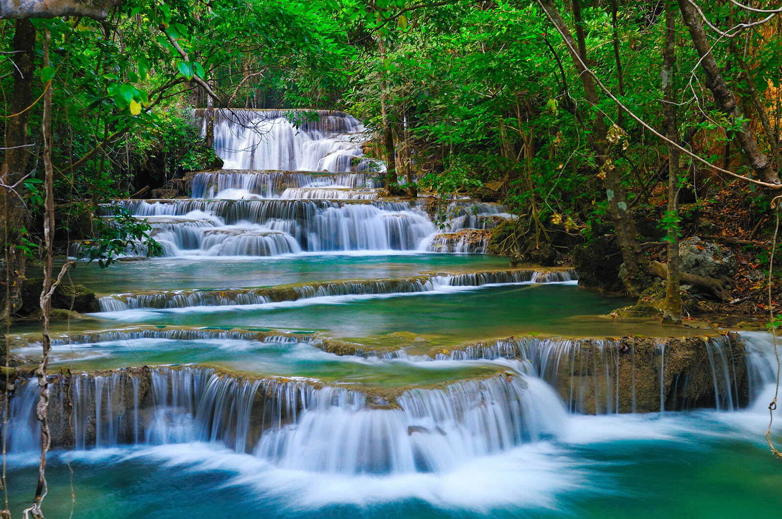 Waterfall in a forest Waterfall in a forest