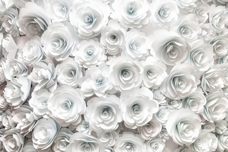 Group of white flowers