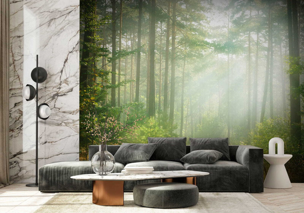 Path through a forest with trees and bushes Path through a forest with trees and bushes