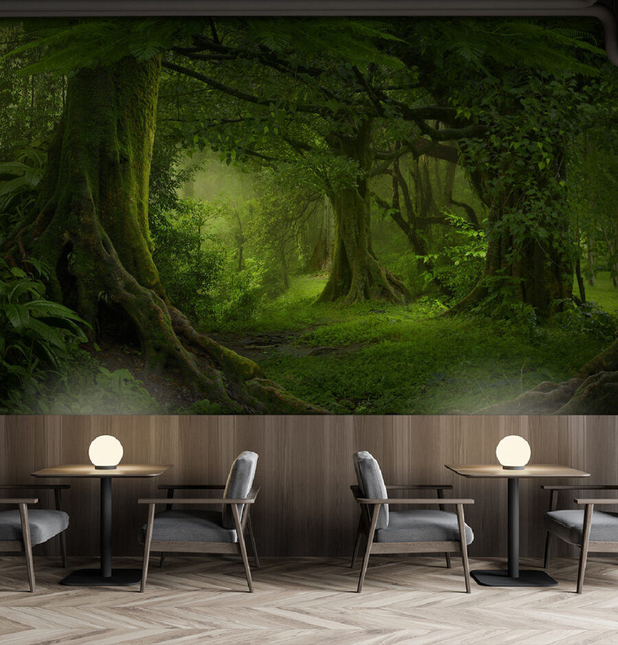 Forest with trees and plants