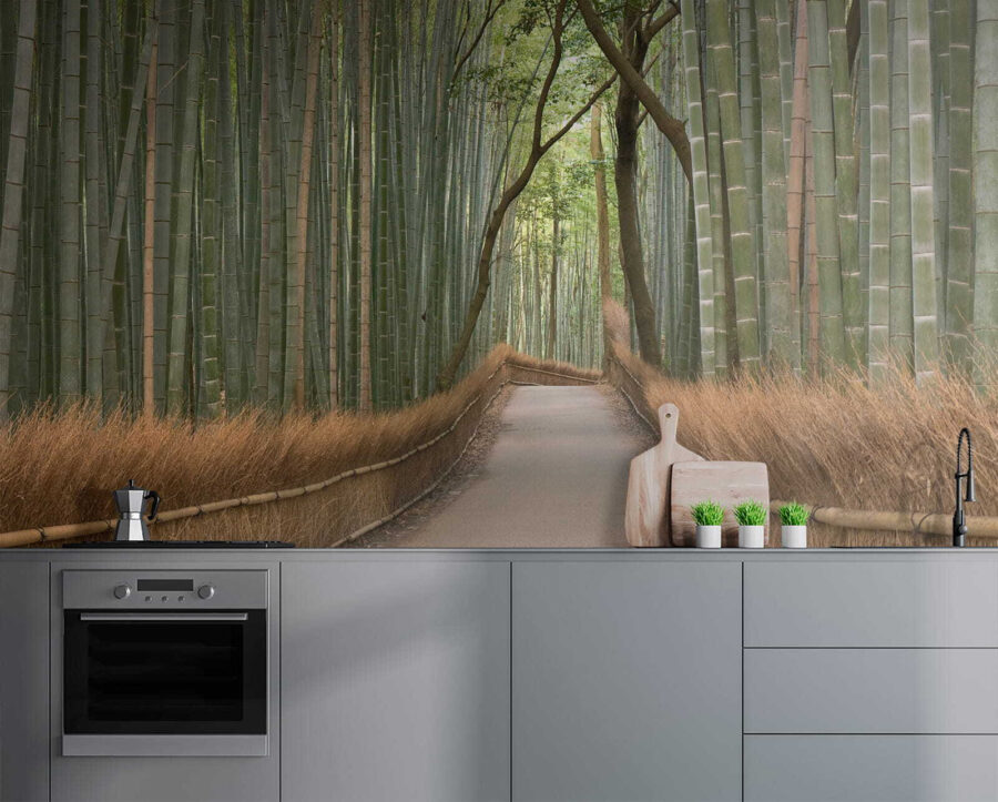 Path through a bamboo forest