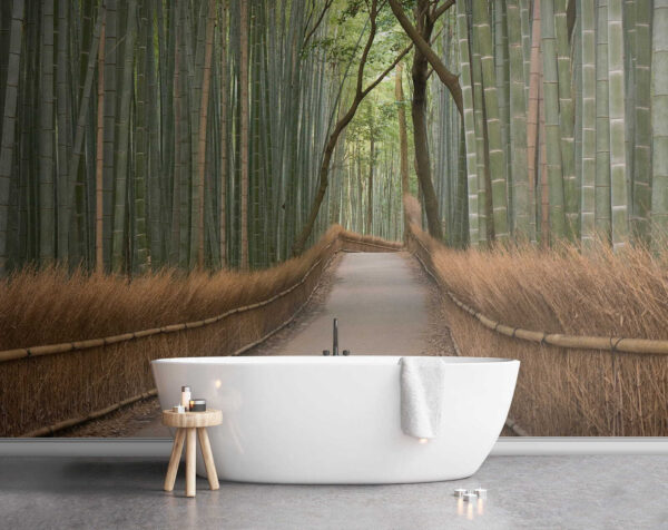 Path through a bamboo forest Path through a bamboo forest