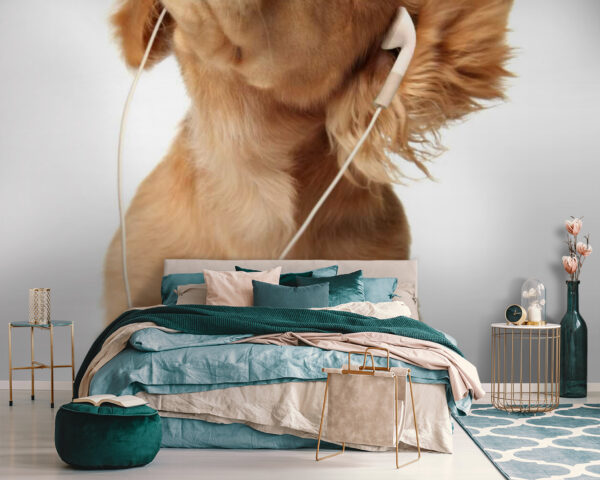 Dog with earphones on Dog with earphones on