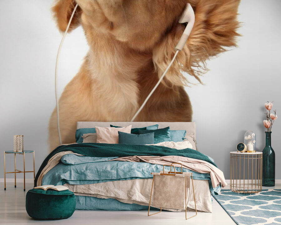 Dog with earphones on Dog with earphones on