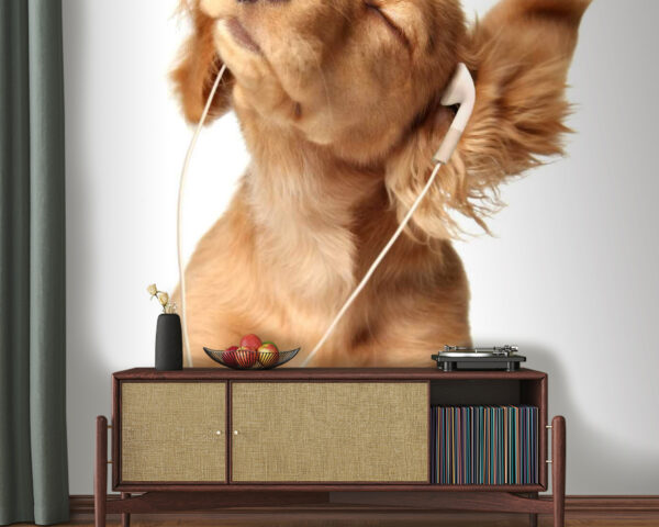 Dog with earphones on Dog with earphones on