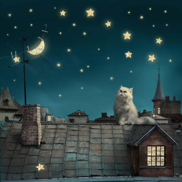 Cat sitting on a roof Cat sitting on a roof