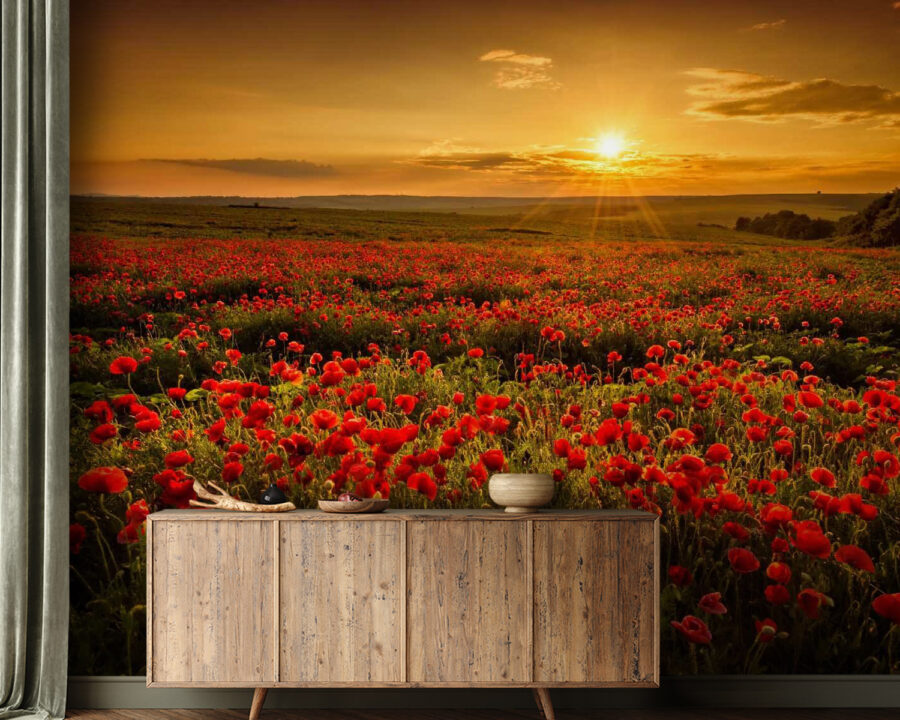 Field of red flowers Field of red flowers