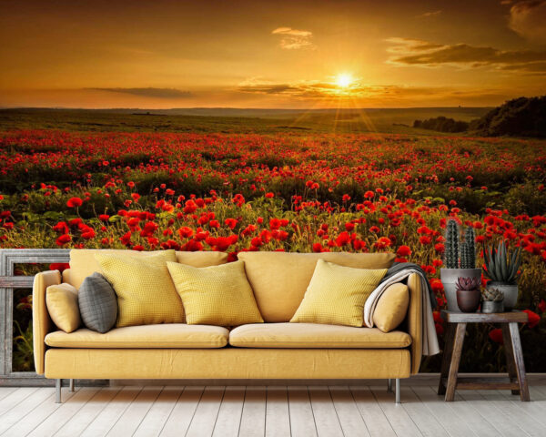 Field of red flowers Field of red flowers