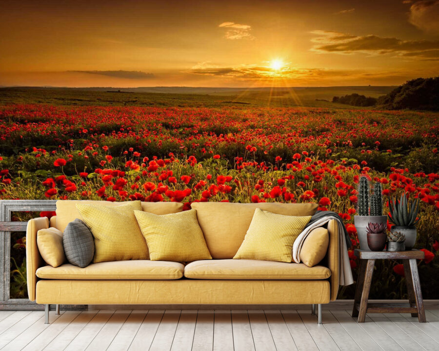 Field of red flowers Field of red flowers