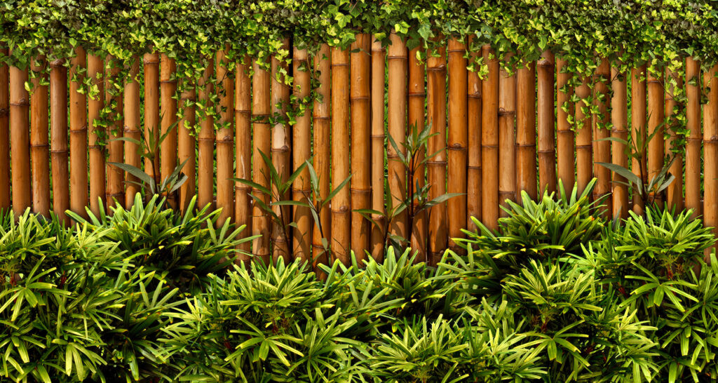 Bamboo fence with plants Bamboo fence with plants