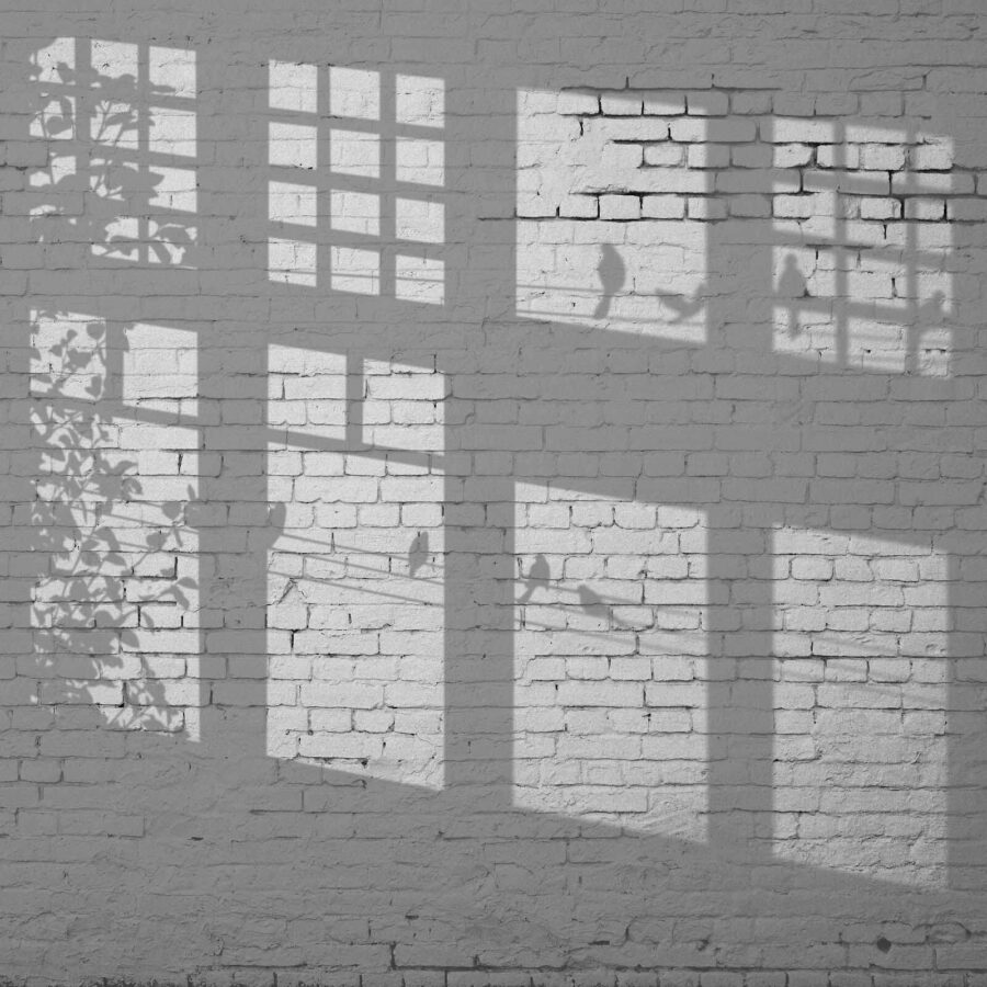 Wall with windows and birds shadow