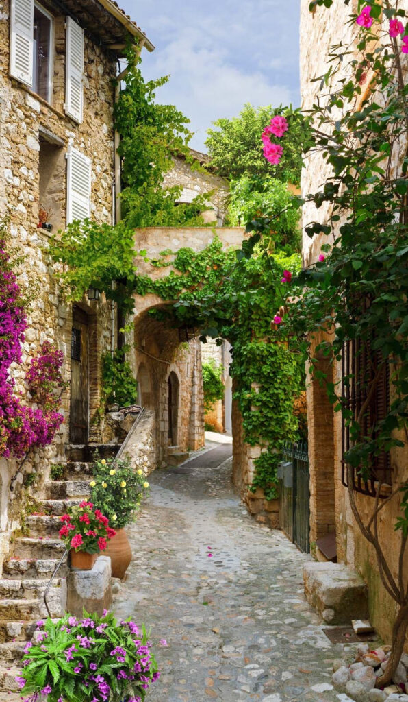 Stone alley with flowers and plants Stone alley with flowers and plants