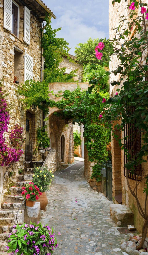 Stone alley with flowers and plants Stone alley with flowers and plants
