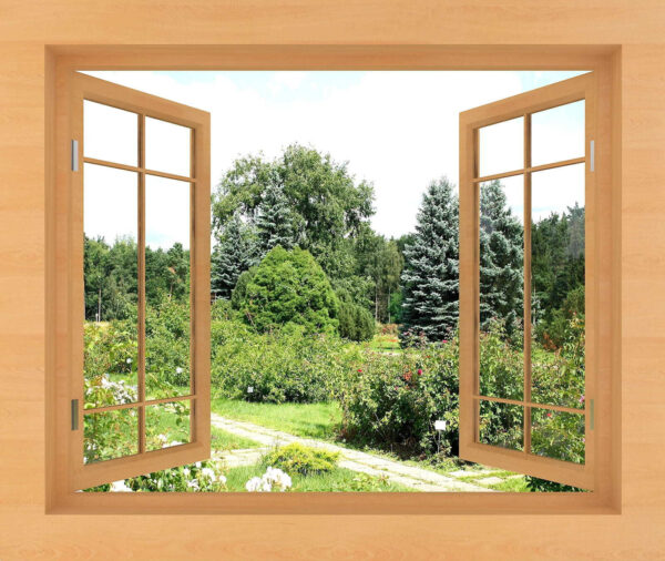 Window with trees and a path through it Window with trees and a path through it