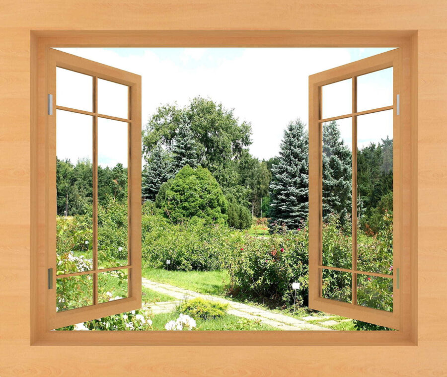 Window with trees and a path through it Window with trees and a path through it