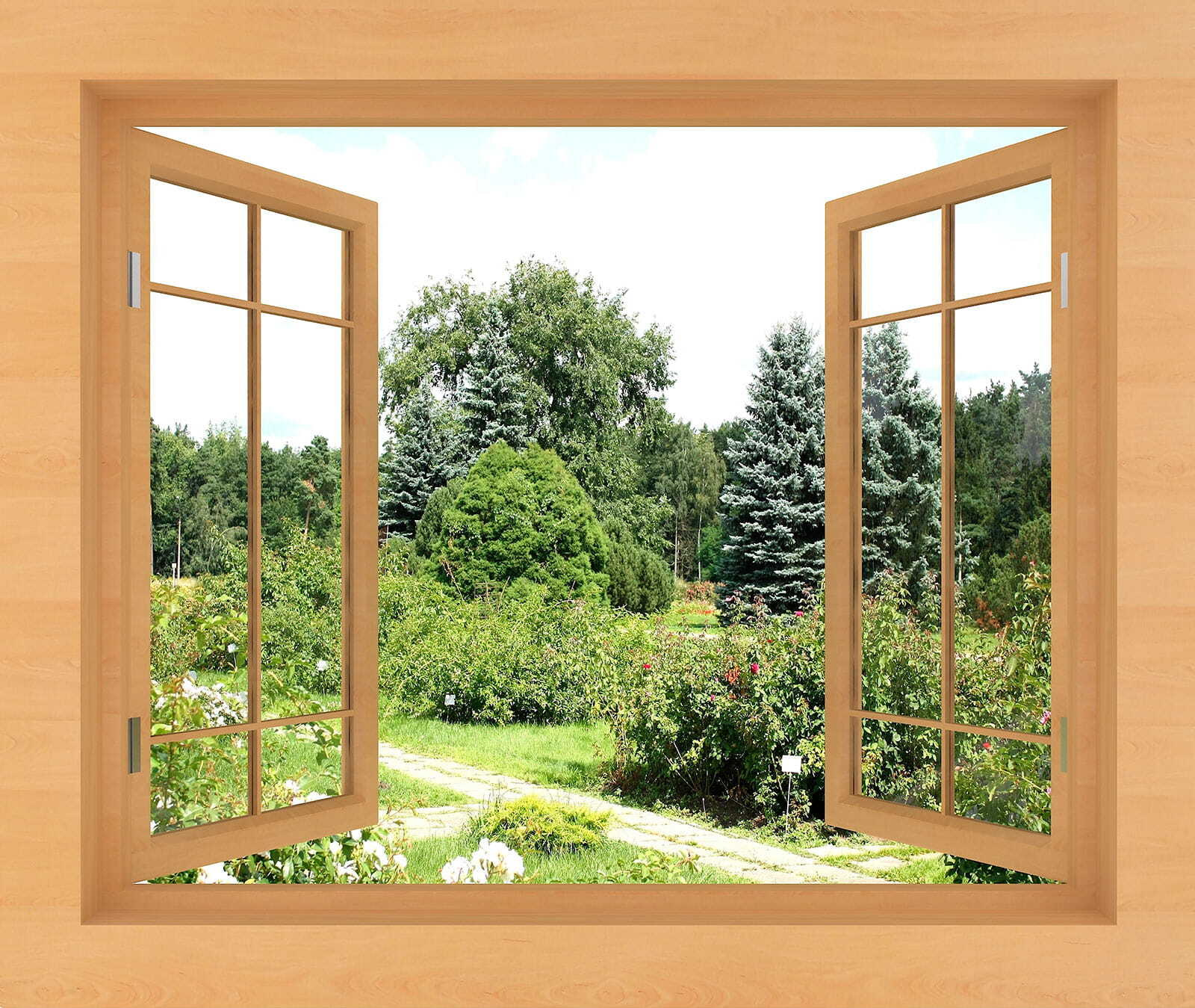 Window with trees and a path through it u60673p - Window with trees and a path through it