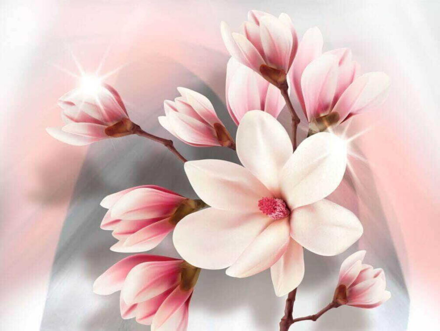 Soft petals in gentle embrace