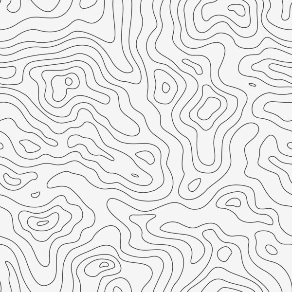 Black and white contour lines u70650p 600x600 - Black and white contour lines