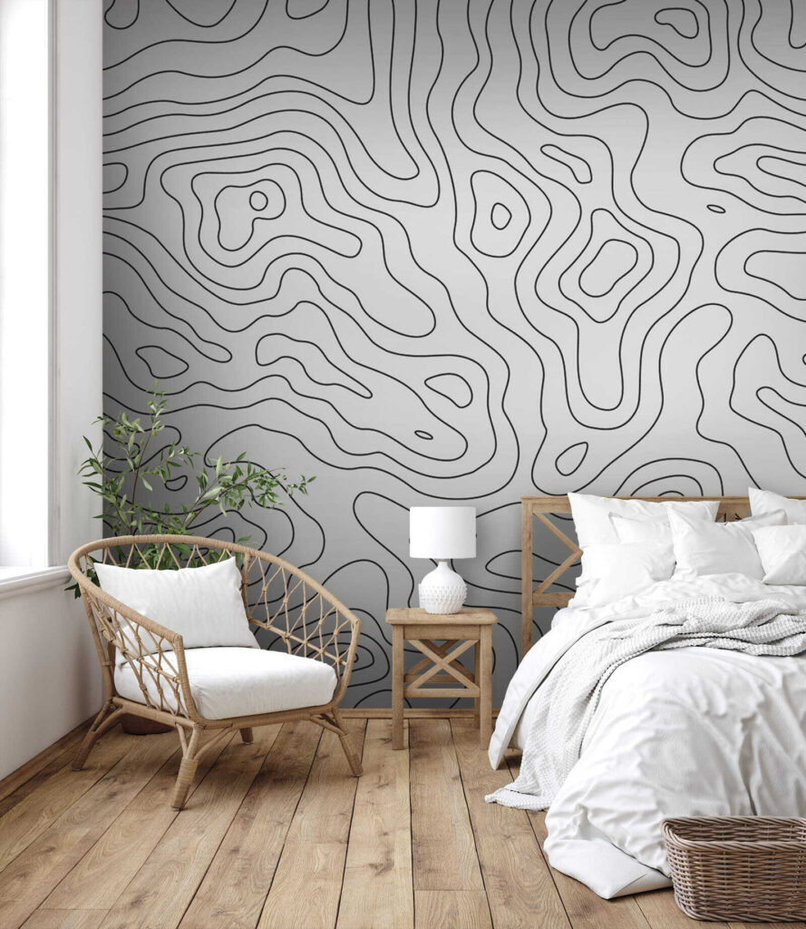 u70650pib1 889x1024 - Black and white contour lines