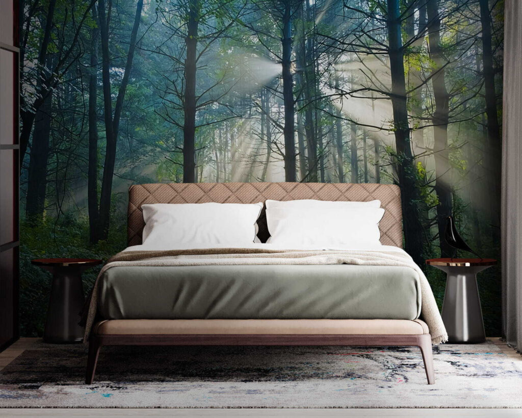 Sun shining through trees in a forest u70959pib1m 1024x819 - Sun shining through trees in a forest - tegory