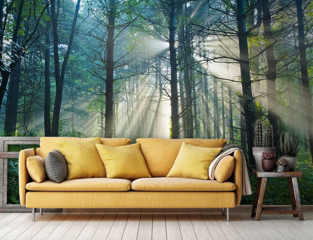 Sun shining through trees in a forest u70959pig1 1024x785 - Sun shining through trees in a forest - tegory