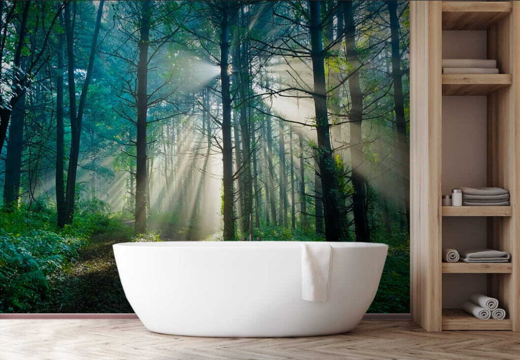 Sun shining through trees in a forest u70959pit1 1024x709 - Sun shining through trees in a forest - tegory