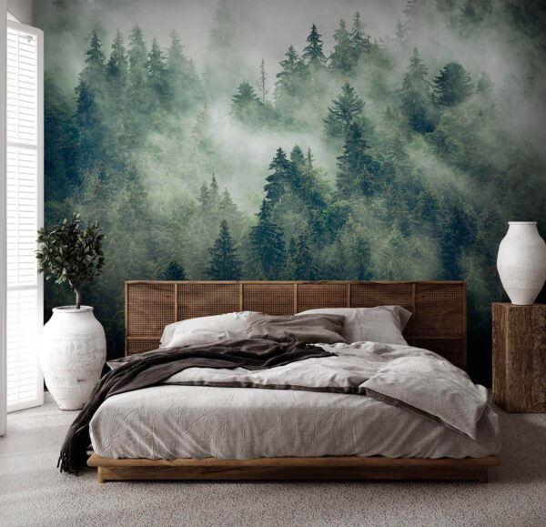 Forest of trees with fog Forest of trees with fog