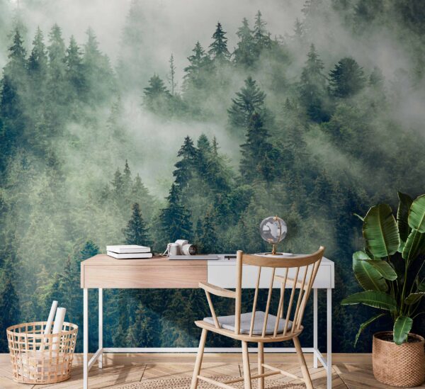Forest of trees with fog Forest of trees with fog