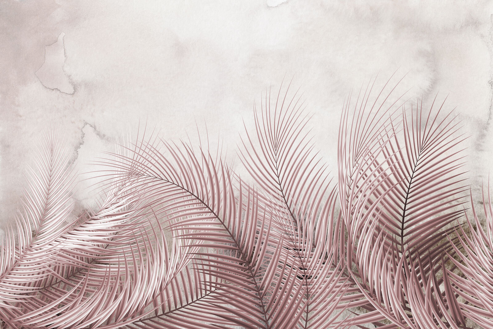 Group of pink leaves u73967p - Group of pink leaves - tegory