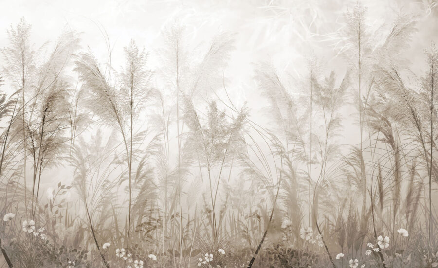 Field of grass with flowers