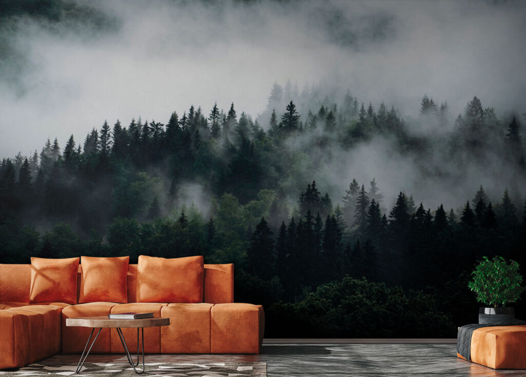 Foggy forest with trees Foggy forest with trees