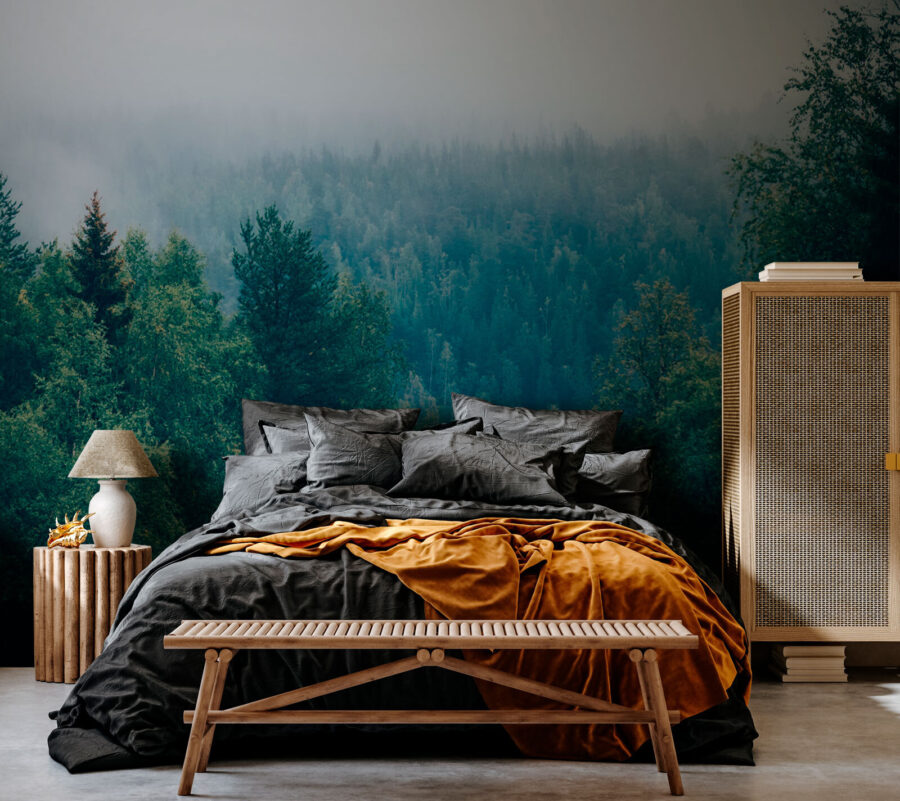 Forest of trees with fog