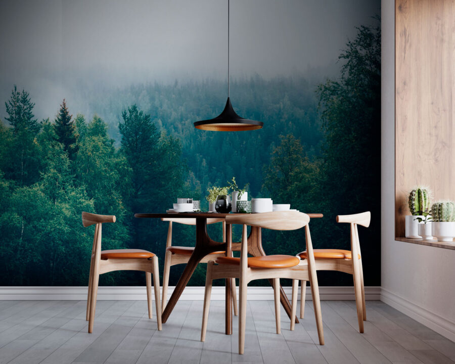 Forest of trees with fog