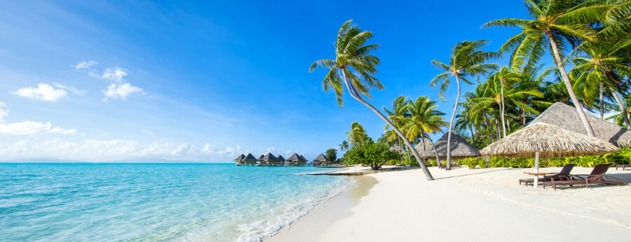 Beach with palm trees and huts