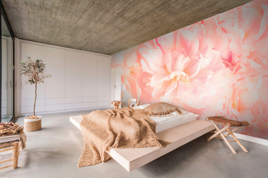 Soft petals in gentle hues.