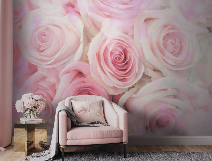 Group of pink roses