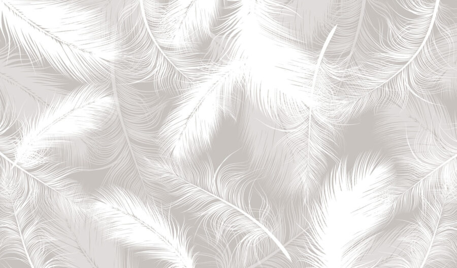 White feathers on a gray background