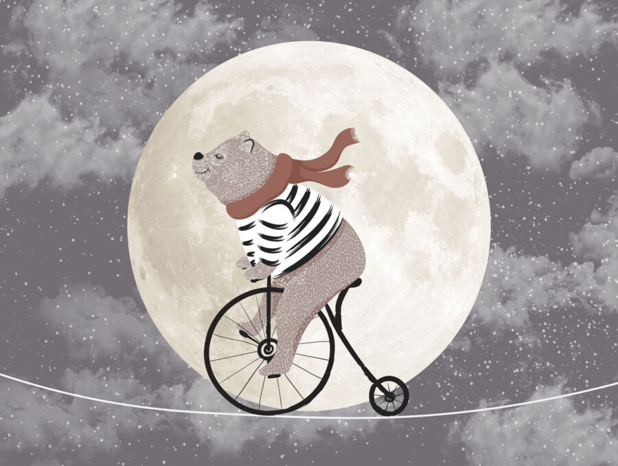 Bear riding a bicycle