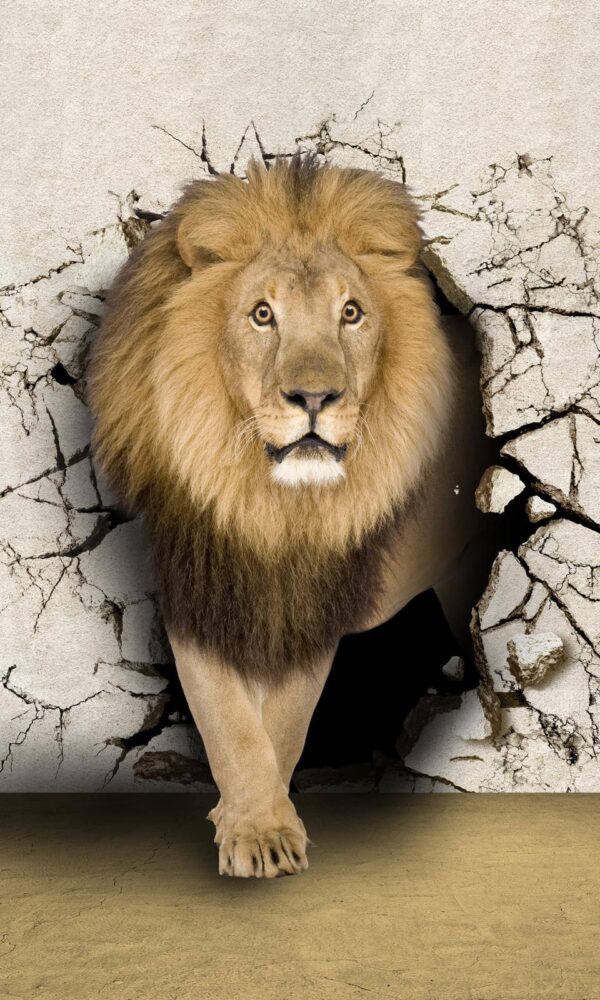 Lion walking through a crack wall Lion walking through a crack wall
