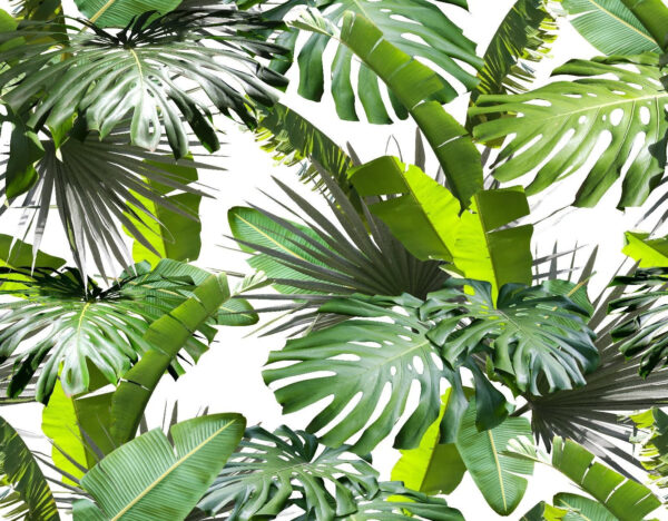Group of green leaves Group of green leaves