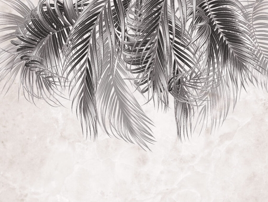 Elegant palm leaves on light background u79639p 1024x772 - Elegant palm leaves on light background - tegory