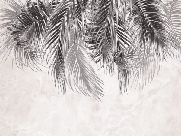 Elegant palm leaves on light background u79639p 600x453 - Elegant palm leaves on light background - tegory