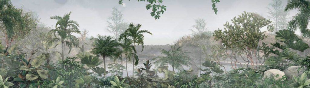 Serene morning in lush greenery Serene morning in lush greenery
