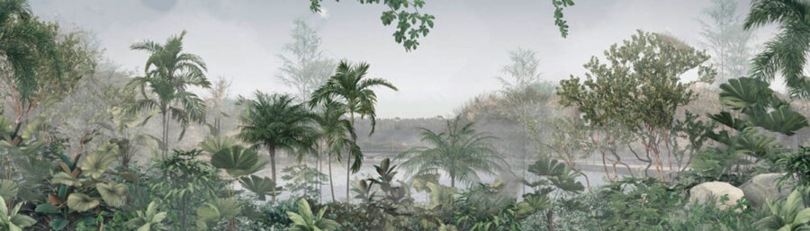 Serene morning in lush greenery Serene morning in lush greenery