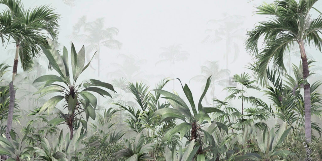 Group of plants in a foggy forest Group of plants in a foggy forest
