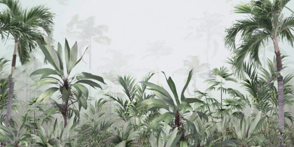 Group of plants in a foggy forest Group of plants in a foggy forest