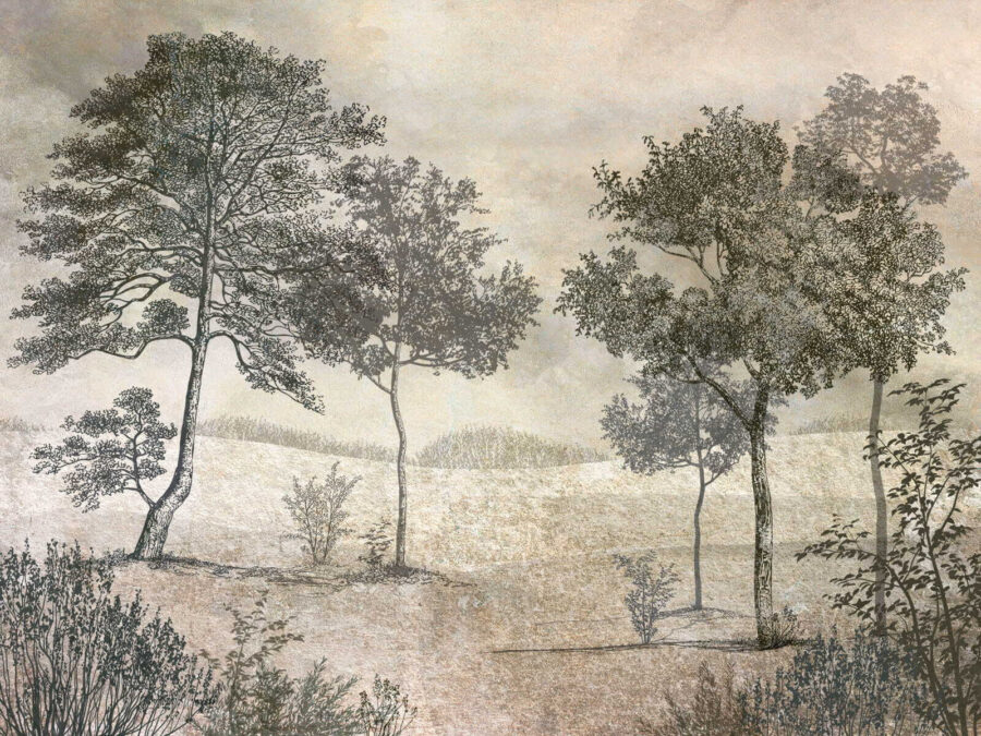 Drawing of trees in a field